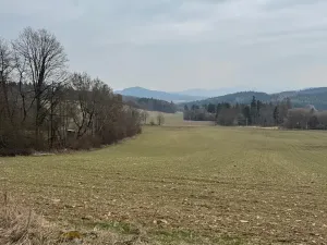 Prodej pole, Hlavňovice, 11738 m2