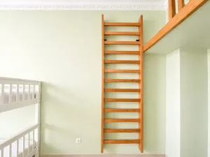 Prodej bytu 3+kk, Praha - Nové Město, Wenzigova, 79 m2