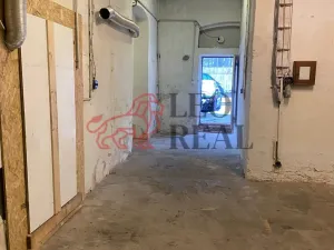 Pronájem výrobních prostor, Ústí nad Labem - Krásné Březno, Drážďanská, 165 m2