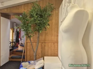 Pronájem skladu, Praha - Letňany, Beranových, 45 m2