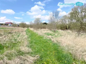 Prodej pozemku pro bydlení, Planá, 5800 m2