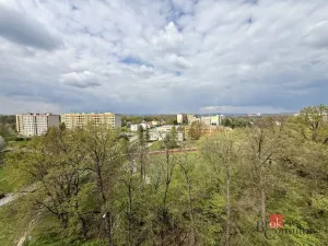 Prodej bytu 2+1, Ostrava - Zábřeh, Rezkova, 43 m2