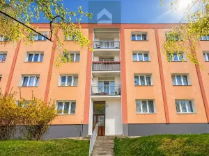 Prodej bytu 3+1, Plzeň - Lobzy, Dlouhá, 76 m2