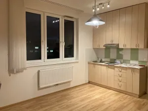 Pronájem bytu 1+kk, Praha - Vysočany, Freyova, 28 m2