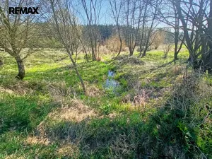 Prodej louky, Nemyšl, 20659 m2