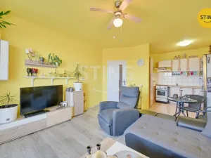 Prodej bytu 2+kk, Oslavany, Starohorská, 50 m2