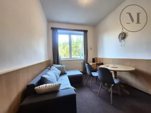 Prodej bytu 2+kk, Benešov nad Černou, 35 m2