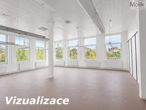 Pronájem výrobních prostor, Teplice - Trnovany, Thámova, 110 m2