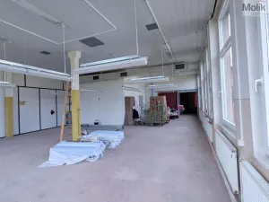 Pronájem výrobních prostor, Teplice - Trnovany, Thámova, 110 m2