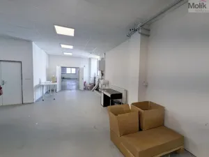 Pronájem výrobních prostor, Teplice, Pražská, 351 m2