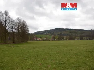 Prodej louky, Náchod - Běloves, 20495 m2