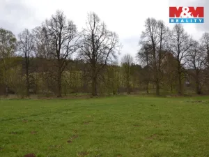 Prodej louky, Náchod - Běloves, 20495 m2