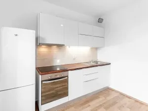 Pronájem bytu 1+kk, Praha - Holešovice, Na Maninách, 41 m2