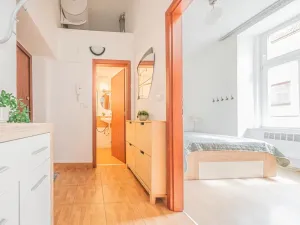 Prodej bytu 2+kk, Praha - Smíchov, Holečkova, 34 m2