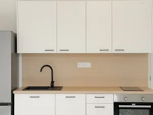 Pronájem bytu 2+kk, Praha - Žižkov, Jeseniova, 54 m2