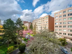 Prodej bytu 1+kk, Praha - Chodov, Nechvílova, 34 m2