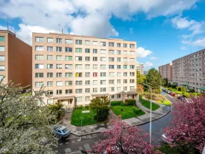 Prodej bytu 1+kk, Praha - Chodov, Nechvílova, 34 m2