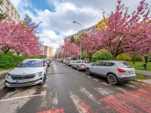 Prodej bytu 1+kk, Praha - Chodov, Nechvílova, 34 m2