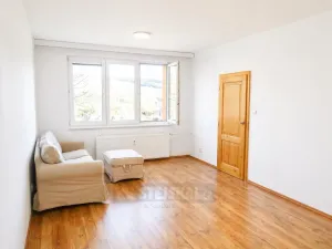 Pronájem bytu 1+1, Český Krumlov - Plešivec, Sídliště Plešivec, 45 m2