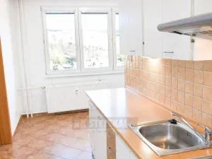 Pronájem bytu 1+1, Český Krumlov - Plešivec, Sídliště Plešivec, 45 m2