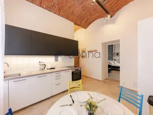 Pronájem bytu 1+1, Praha, Hálkova, 46 m2