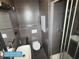 Pronájem bytu 1+1, Jablonec nad Nisou, Vysoká, 42 m2