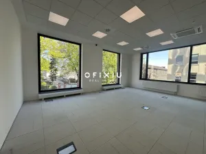 Pronájem kanceláře, Brno, Botanická, 73 m2