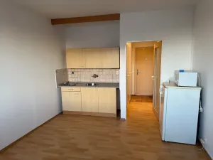 Pronájem bytu 1+kk, Praha - Braník, Nad lesním divadlem, 24 m2