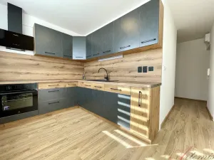 Prodej bytu 2+1, Ostrava - Hrabůvka, Františka Hajdy, 47 m2