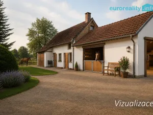 Prodej zemědělské usedlosti, Bítouchov - Dolánky, 600 m2