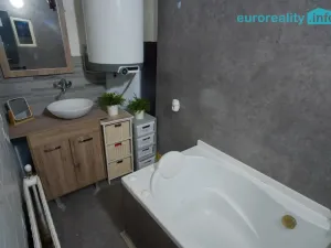 Prodej zemědělské usedlosti, Bítouchov - Dolánky, 600 m2