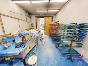 Prodej výrobních prostor, Kateřinice, 500 m2