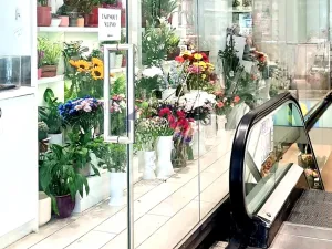 Pronájem obchodního prostoru, Praha, Na Poříčí, 26 m2