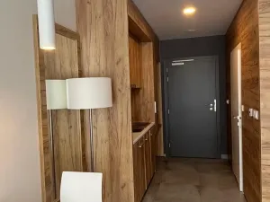 Prodej apartmánu, Dolní Morava, 28 m2