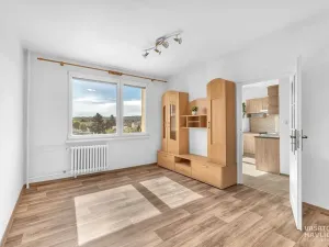 Pronájem bytu 1+1, Heřmanův Městec, V Lukách, 32 m2