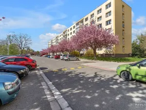 Pronájem bytu 1+1, Heřmanův Městec, V Lukách, 32 m2