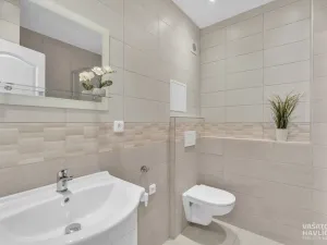 Pronájem bytu 1+1, Heřmanův Městec, V Lukách, 32 m2