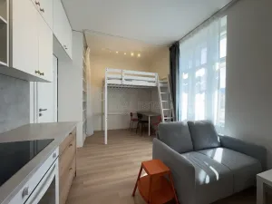 Pronájem bytu 1+kk, Ostrava - Moravská Ostrava, 28. října, 30 m2