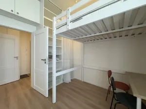 Pronájem bytu 1+kk, Ostrava - Moravská Ostrava, 28. října, 30 m2