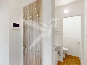 Pronájem bytu 1+1, Plzeň, Gerská, 39 m2