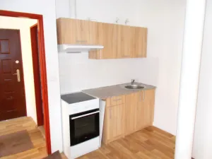 Pronájem bytu 1+kk, Česká Lípa, Hrnčířská, 195 m2