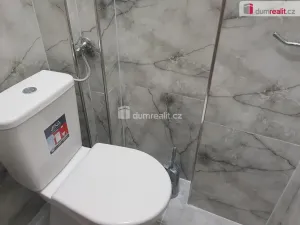 Pronájem bytu 1+kk, Praha - Vršovice, Přípotoční, 27 m2