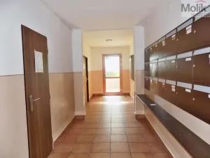 Prodej bytu 3+1, Teplice - Trnovany, Trnovanská, 71 m2