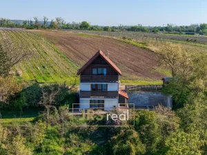 Prodej apartmánu, Strachotín, Sklepní, 160 m2