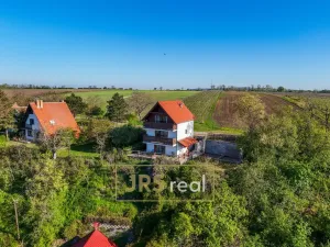 Prodej - jiné, Strachotín, Sklepní, 160 m2