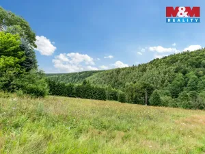 Prodej pozemku pro bydlení, Český Jiřetín, 4093 m2