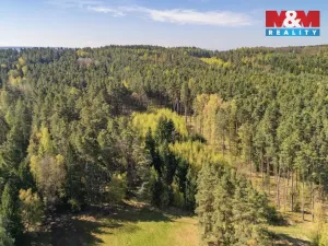 Prodej lesa, Losiná, 2645 m2