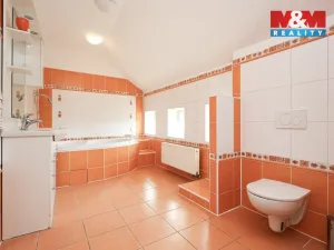 Prodej rodinného domu, Velký Týnec, U nové školy, 310 m2