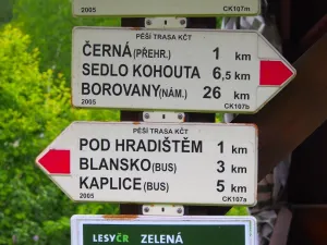 Prodej rodinného domu, Benešov nad Černou - Děkanské Skaliny, 217 m2