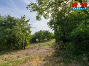 Prodej pole, Židlochovice, 4295 m2